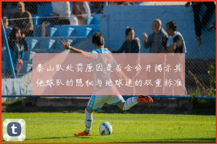 泰山队处罚原因是否会公开揭示其他球队的隐秘与地球迷的双重标准
